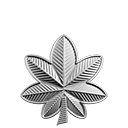 Lieutenant Colonel